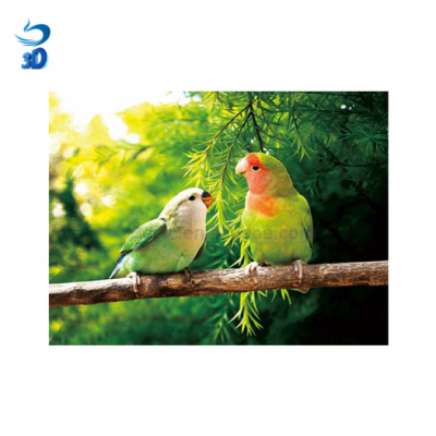 Wall Hanging Pictures 3d Lovely Bird 3d Lenticular Picture For Home Decor From Craft Supplies