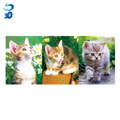 lenticular flip picture of animal flip 3d lovely cat picture for sales